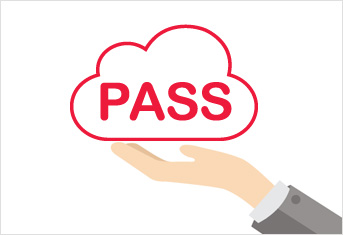 Professional Assisted SaaS Solutions (PASS)
